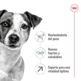 SHN MINI MATURE +8 - NUTRICION A LA MEDIDA.png